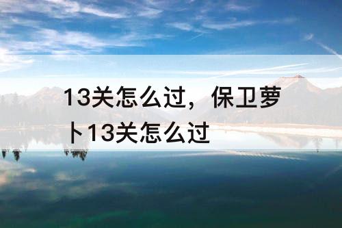 13关怎么过，保卫萝卜13关怎么过