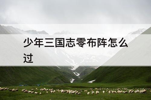 少年三国志零布阵怎么过