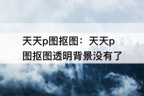 天天p图抠图：天天p图抠图透明背景没有了
