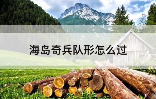 海岛奇兵队形怎么过