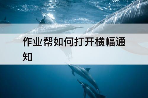 作业帮如何打开横幅通知