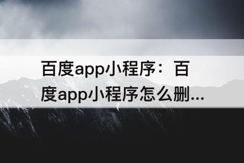 百度app小程序：百度app小程序怎么删除