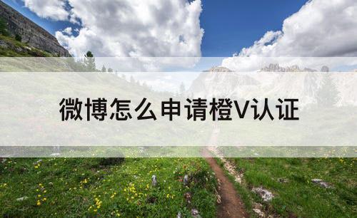 微博怎么申请橙V认证