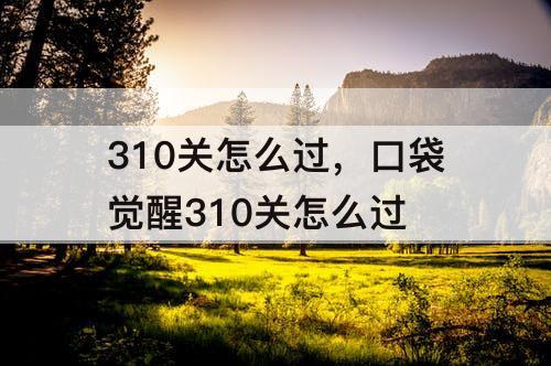 310关怎么过，口袋觉醒310关怎么过