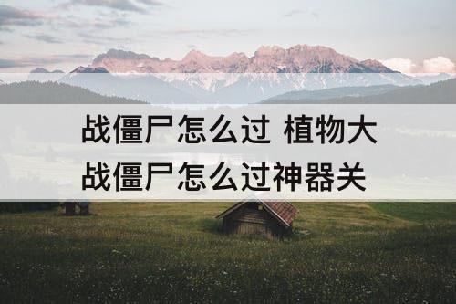 战僵尸怎么过 植物大战僵尸怎么过神器关