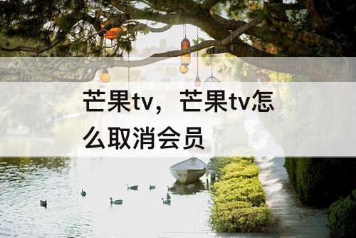 芒果tv，芒果tv怎么取消会员