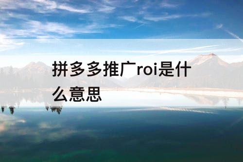 拼多多推广roi是什么意思