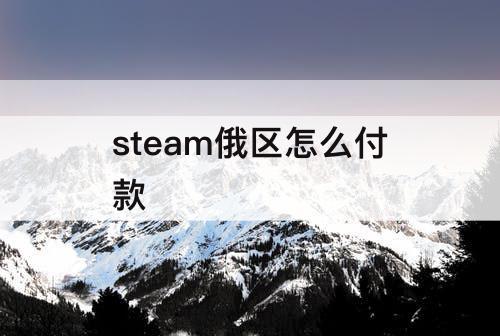 steam俄区怎么付款