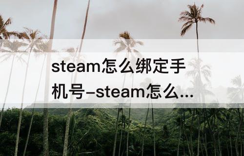steam怎么绑定手机号-steam怎么绑定手机号令牌
