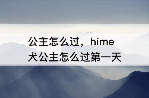 公主怎么过，hime犬公主怎么过第一天