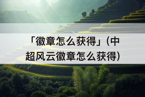 「徽章怎么获得」(中超风云徽章怎么获得)