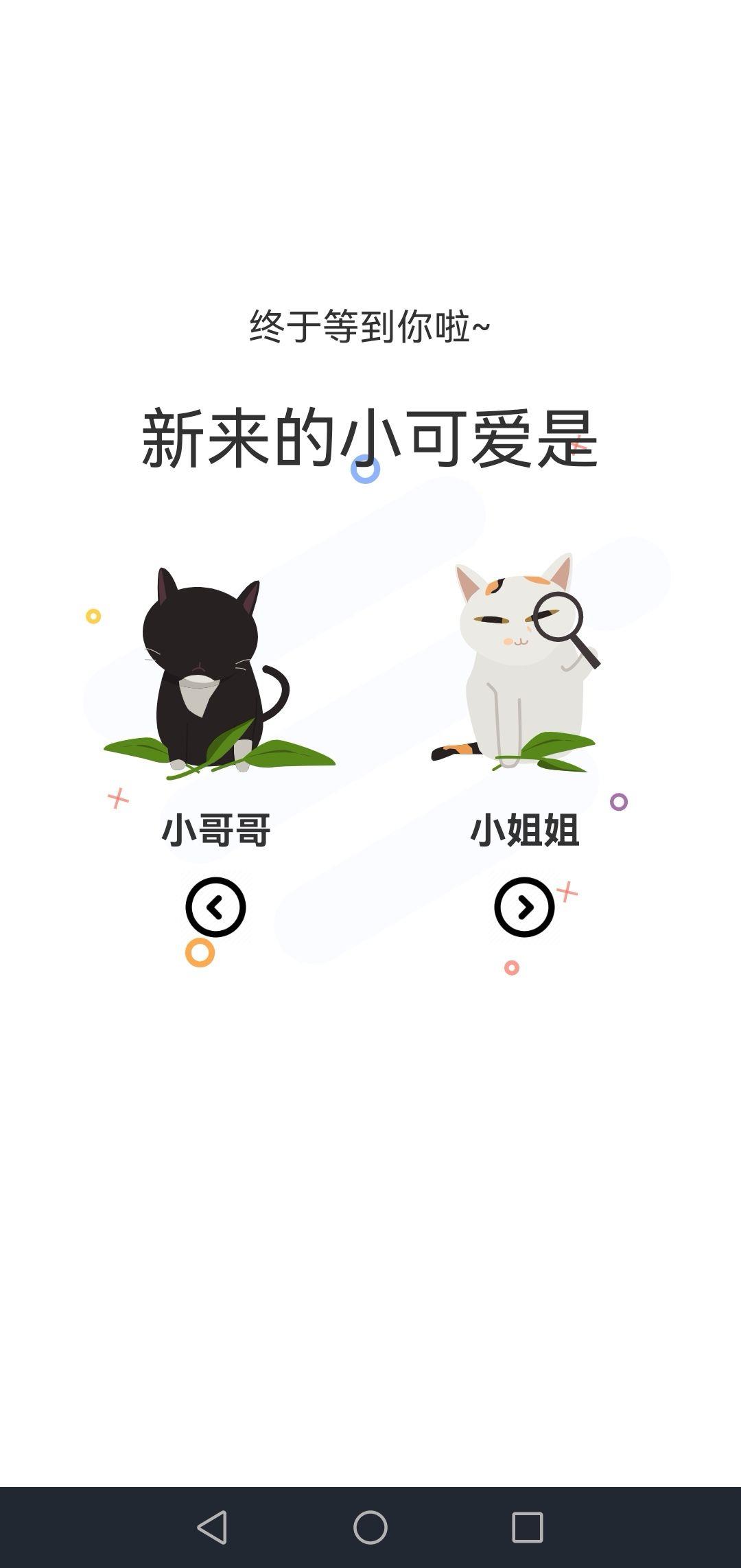 猫上二次元