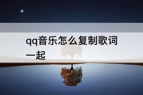 qq音乐怎么复制歌词一起