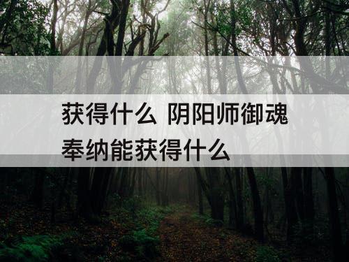 获得什么 阴阳师御魂奉纳能获得什么