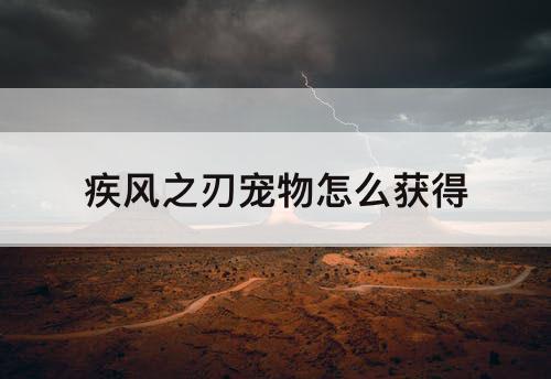 疾风之刃宠物怎么获得