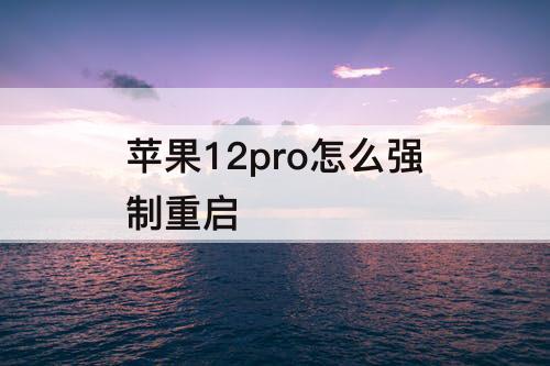 苹果12pro怎么强制重启
