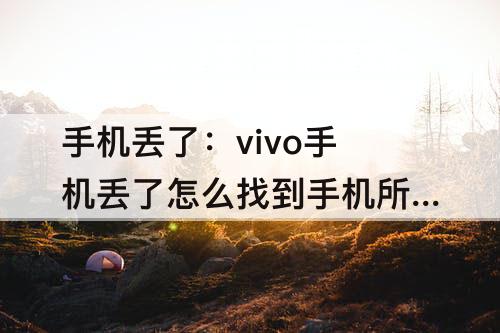 手机丢了：vivo手机丢了怎么找到手机所在位置