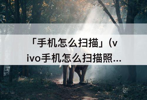 「手机怎么扫描」(vivo手机怎么扫描照片成pdf)