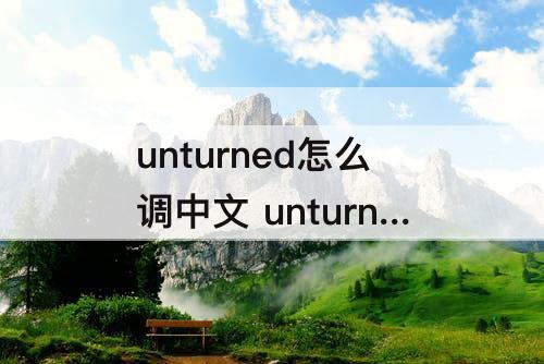 unturned怎么调中文 unturned怎么调中文教程