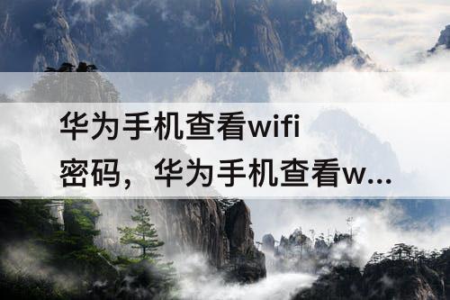 华为手机查看wifi密码，华为手机查看wifi密码没有连接