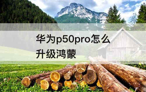 华为p50pro怎么升级鸿蒙