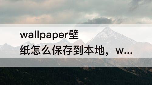 wallpaper壁纸怎么保存到本地，wallpaper壁纸怎么保存到本地并改比例