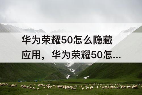 华为荣耀50怎么隐藏应用，华为荣耀50怎么隐藏应用程序