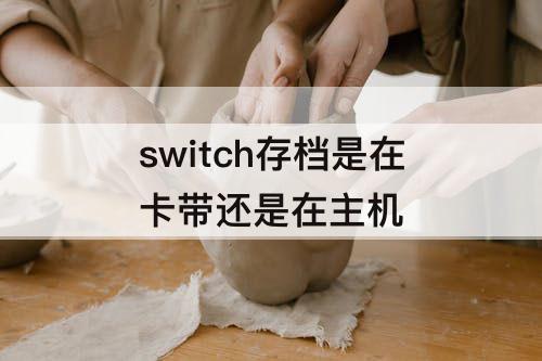 switch存档是在卡带还是在主机