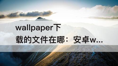 wallpaper下载的文件在哪：安卓wallpaper下载的文件在哪
