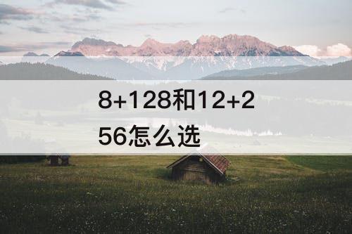 8+128和12+256怎么选