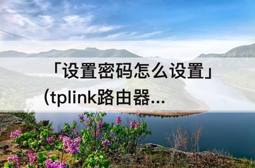 「设置密码怎么设置」(tplink路由器手机设置密码怎么设置)