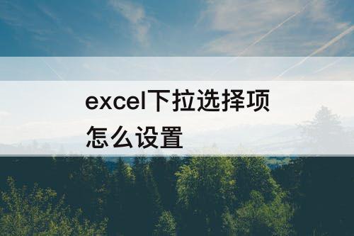 excel下拉选择项怎么设置