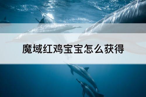 魔域红鸡宝宝怎么获得