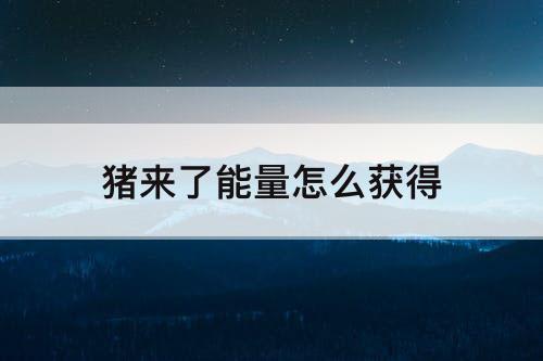 猪来了能量怎么获得