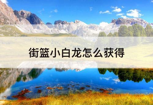 街篮小白龙怎么获得