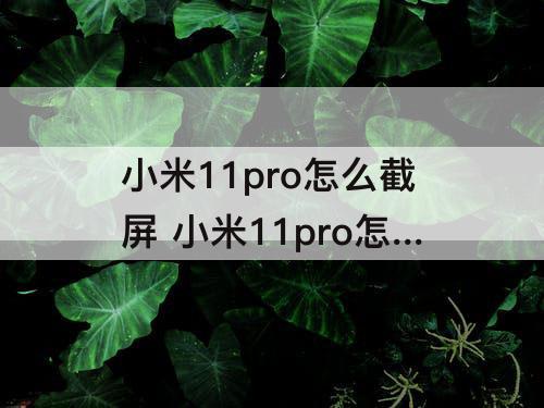 小米11pro怎么截屏 小米11pro怎么截屏?