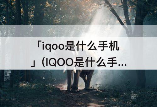 「iqoo是什么手机」(IQOO是什么手机型号)