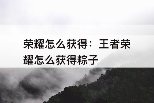 荣耀怎么获得：王者荣耀怎么获得粽子