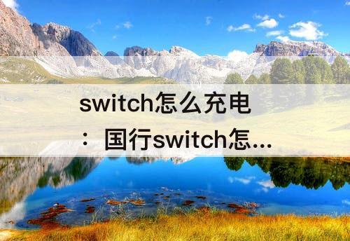 switch怎么充电：国行switch怎么充电啊