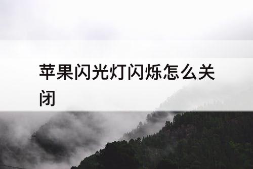 苹果闪光灯闪烁怎么关闭