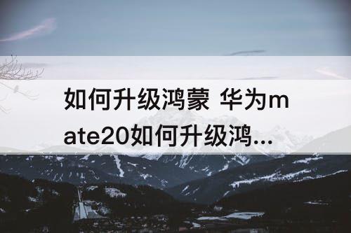 如何升级鸿蒙 华为mate20如何升级鸿蒙3.0