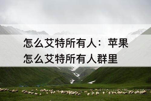 怎么艾特所有人：苹果怎么艾特所有人群里