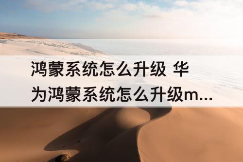 鸿蒙系统怎么升级 华为鸿蒙系统怎么升级mate30pro