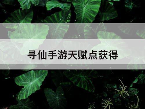 寻仙手游天赋点获得