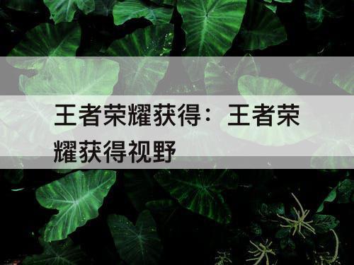 王者荣耀获得：王者荣耀获得视野