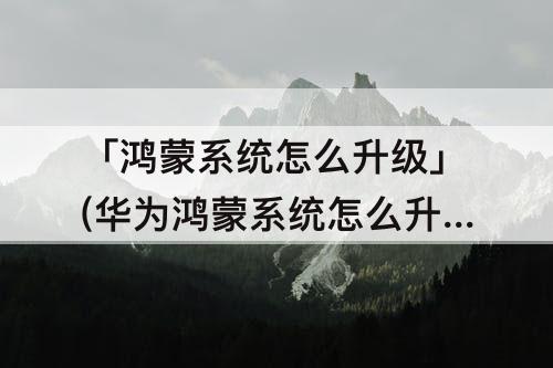 「鸿蒙系统怎么升级」(华为鸿蒙系统怎么升级mate9)
