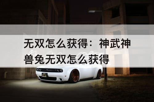 无双怎么获得：神武神兽兔无双怎么获得