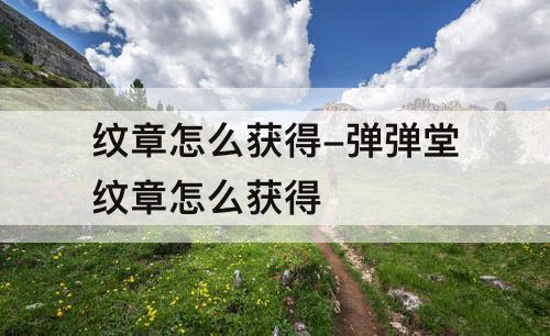 纹章怎么获得-弹弹堂纹章怎么获得