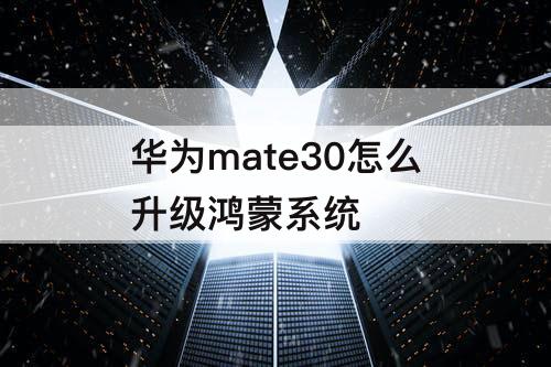 华为mate30怎么升级鸿蒙系统