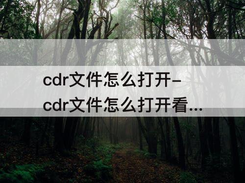 cdr文件怎么打开-cdr文件怎么打开看图
